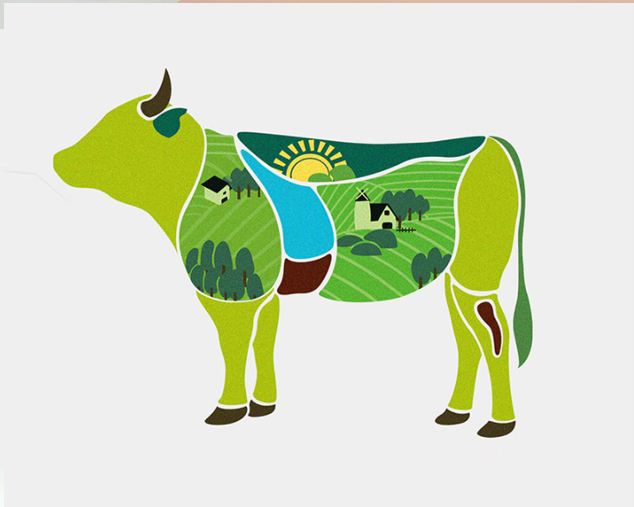 ������ţ��ϵ�а�װ��ƴ���